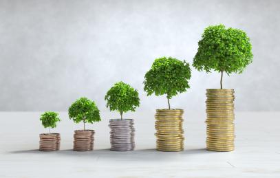 Информация о сумме дивидендов на 1 акцию за 2024 год